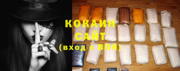ПСИЛОЦИБИНОВЫЕ ГРИБЫ Горняк