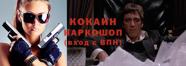 ПСИЛОЦИБИНОВЫЕ ГРИБЫ Горняк