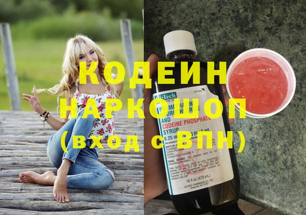 ПСИЛОЦИБИНОВЫЕ ГРИБЫ Горняк