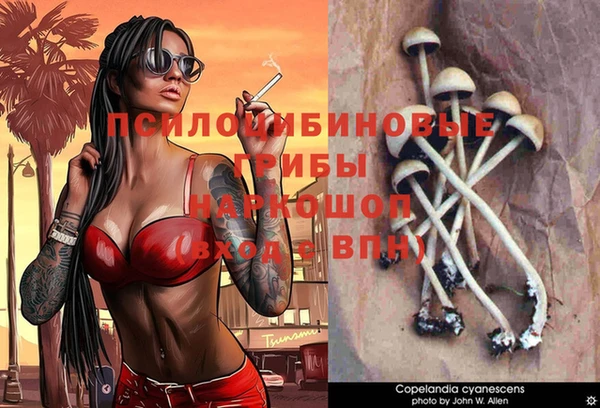 тгк Горно-Алтайск