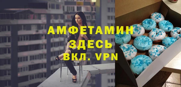 ПСИЛОЦИБИНОВЫЕ ГРИБЫ Горняк